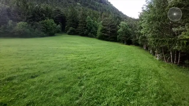 Shamanic Meditation 7