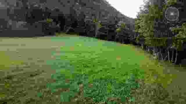 Shamanic Meditation 7