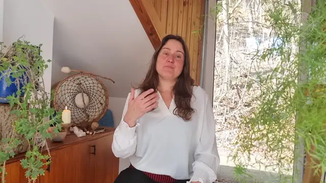 Shamanic Mentor Modul 1-1