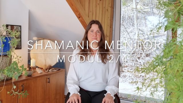 Shamanic Mentor Modul 2-4