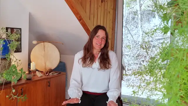 Shamanic Mentor Modul 2-2