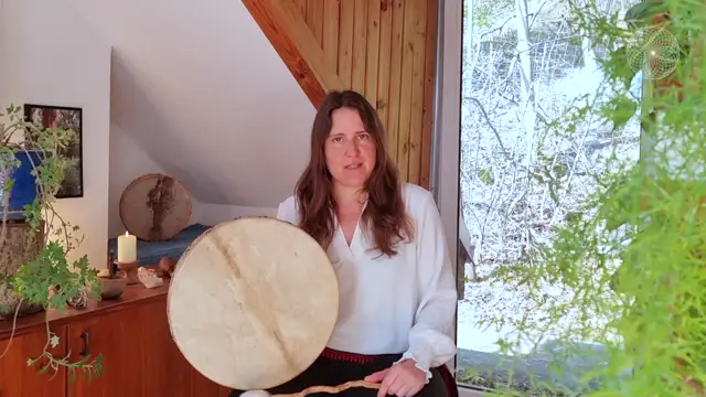 Shamanic Mentor Modul 2-1