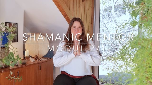 Shamanic Mentor Modul 2-1